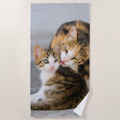 Mother Cat Loves Cute Baby Kitten Animal Pet Photo Beach Towel