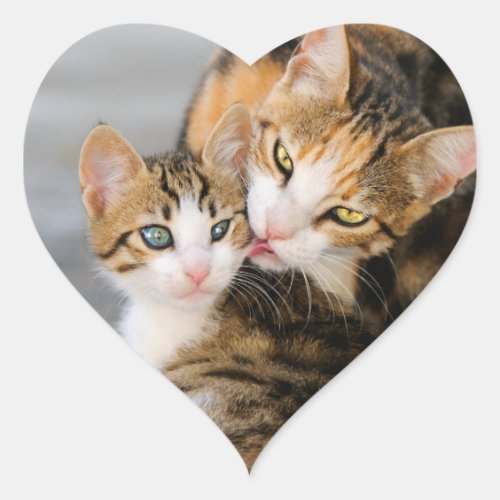 Mother Cat Loves Cute Baby Kitten Animal Pet Photo Heart Sticker