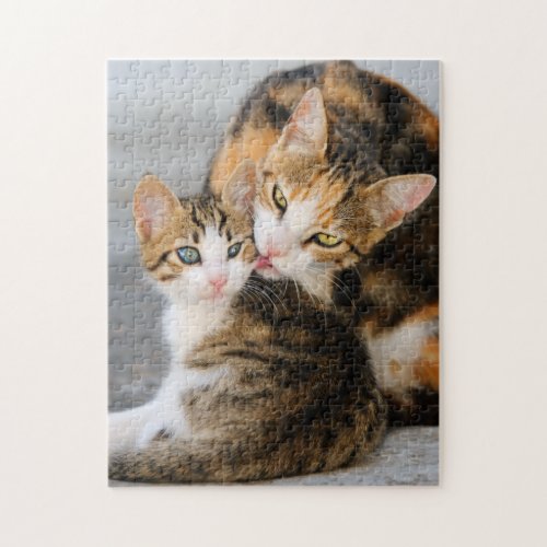 Mother Cat Loves Cute Baby Kitten Animal Pet Photo Jigsaw Puzzle