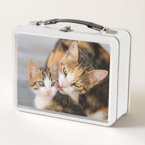 Mother Cat Loves Cute Baby Kitten Animal Pet Photo Metal Lunch Box