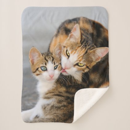 Mother Cat Loves Cute Baby Kitten Animal Photo on Sherpa Blanket