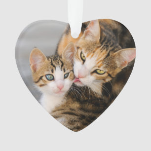 Mother Cat Loves Cute Kitten acrylic ornament
