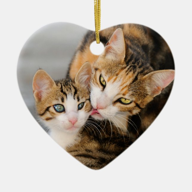 Mother Cat Loves Cute Kitten hang Decor Ceramic Ornament (Front)