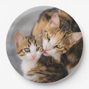 Mother Cat Loves Cute Kitten, Happy Party Paper Plates