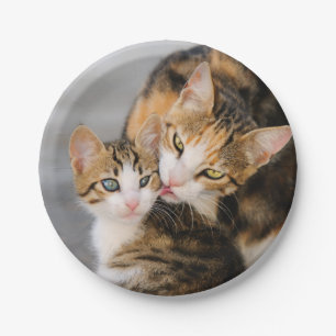 Mother Cat Loves Cute Kitten, Party Paper Plates