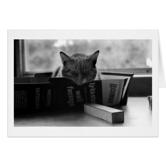mother cat sleeping cards (Front Horizontal)