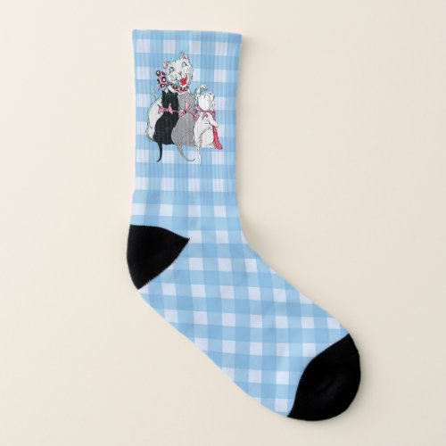 Mother Cat With Three Kittens Blue White Plaid Socks