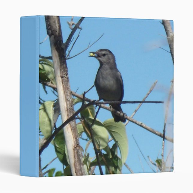 Mother Catbird Gathers Berries to her Feed Babies Binder (Front/Spine)