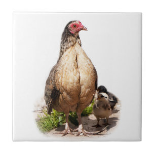 Mother Chicken and Baby Chickens Ceramic Tile