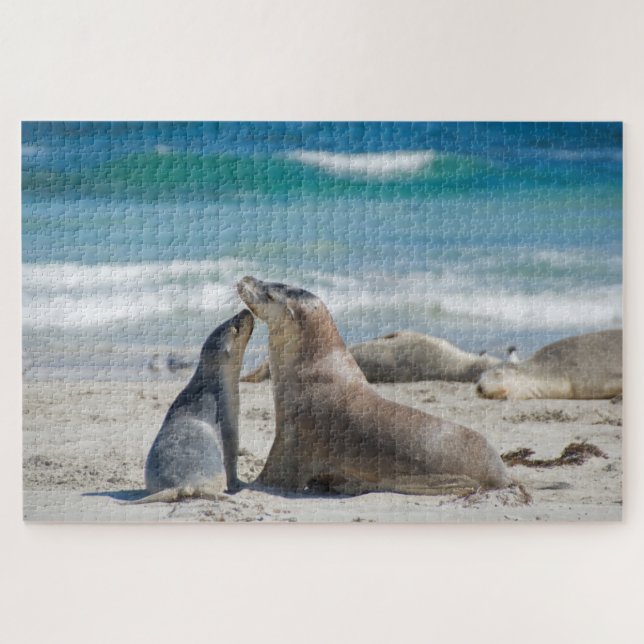 Mother & cute baby sealion beach, 1014 pieces jigsaw puzzle (Horizontal)