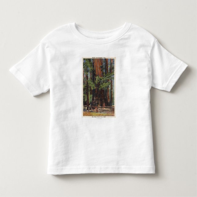 "Mother" & "Daughter" at Big Trees Park Toddler T-shirt (Front)