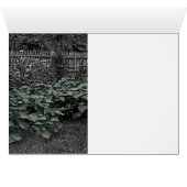 Mother Daughters 1890 Heirloom Gardening Garden (Inside Horizontal (Bottom))