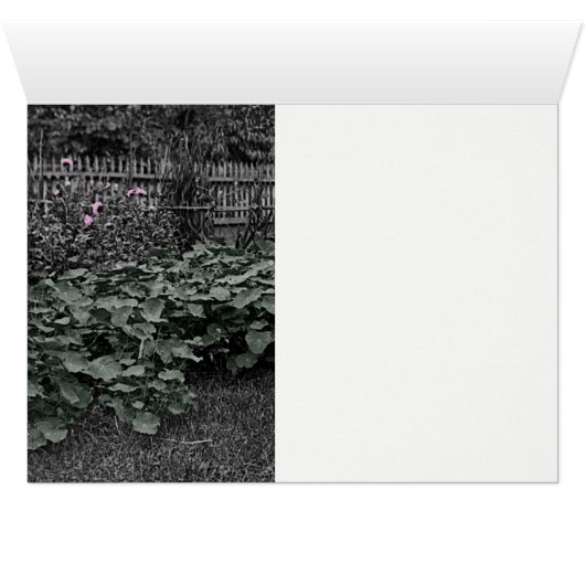 Mother Daughters 1890 Heirloom Gardening Garden (Inside Horizontal (Bottom))