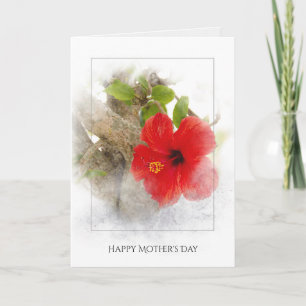 Mother' Day red hibiscus flower in silver framing Card