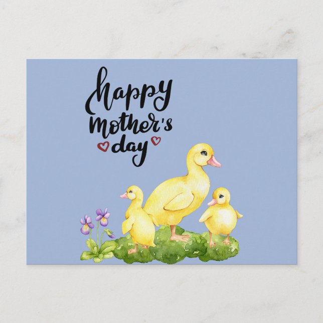Mother Duck and Ducklings Drawing  Holiday Postcard (Front)