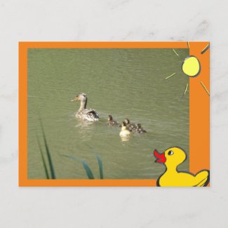 Mother Duck with Young & Cartoons DIY Postcard