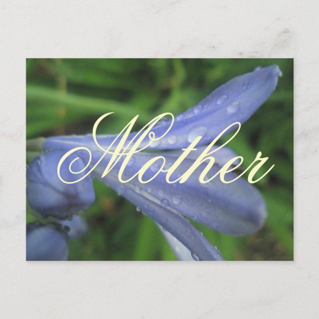 Mother Elegant Blue Flower Postcard (Front)