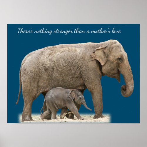 Mother Elephant and baby wall art