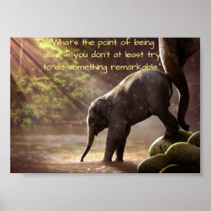 Mother Elephant and Dear Calf Poster