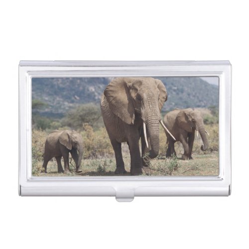Mother elephant walking with elephant calf business card case