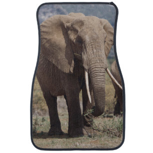 Mother elephant walking with elephant calf car floor mat
