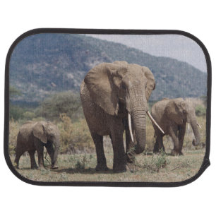 Mother elephant walking with elephant calf car floor mat