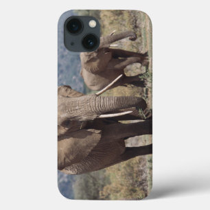 Mother elephant walking with elephant calf iPhone 13 case