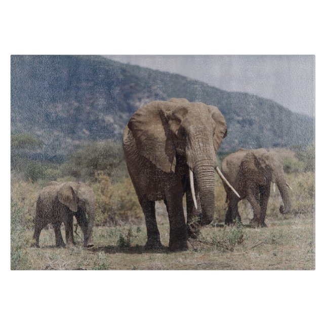 Mother elephant walking with elephant calf cutting board (Front)