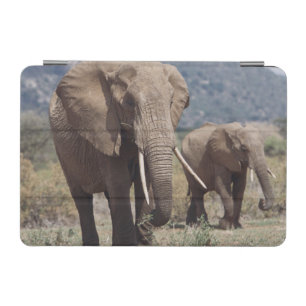 Mother elephant walking with elephant calf iPad mini cover