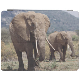 Mother elephant walking with elephant calf iPad smart cover