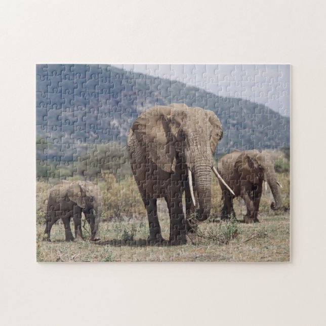 Mother elephant walking with elephant calf jigsaw puzzle (Horizontal)