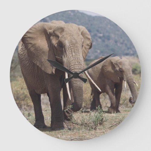 Mother elephant walking with elephant calf large clock