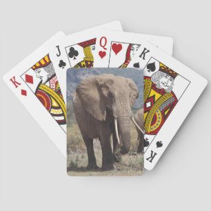 Mother elephant walking with elephant calf poker cards