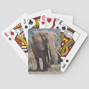 Mother elephant walking with elephant calf poker cards