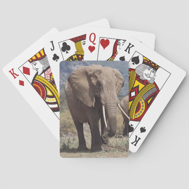 Mother elephant walking with elephant calf poker cards (Back)