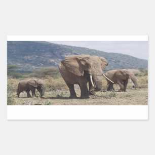 Mother elephant walking with elephant calf rectangular sticker