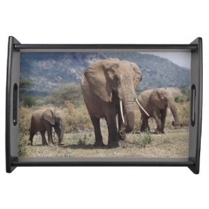 Mother elephant walking with elephant calf serving tray