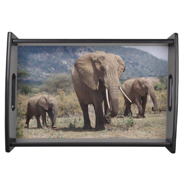 Mother elephant walking with elephant calf serving tray (Front)