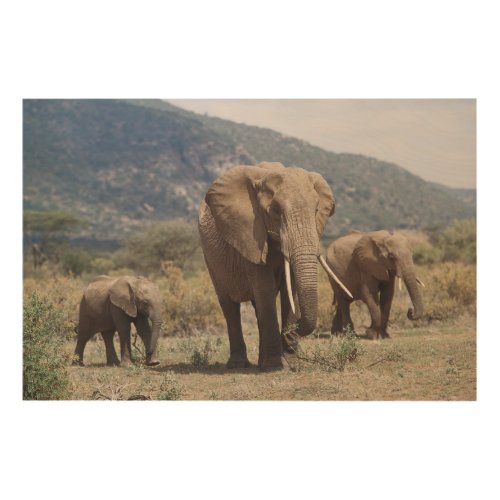 Mother elephant walking with elephant calf wood wall decor