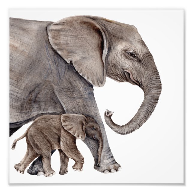 Mother Elephant with Baby Elephant Photo Art Print (Front)