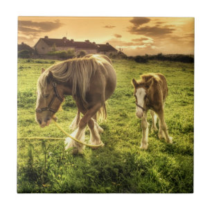 Mother & Foal Horse Ceramic Tile