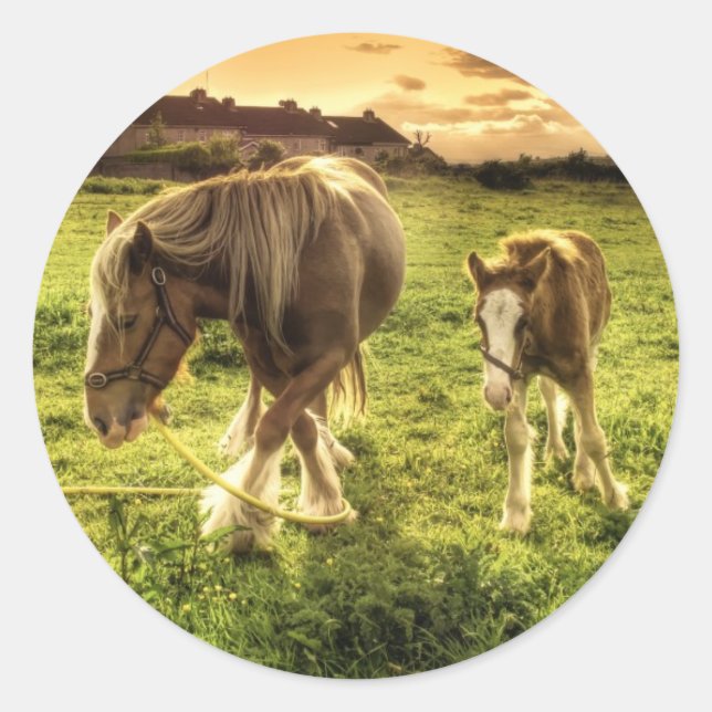 Mother & Foal Horse Classic Round Sticker (Front)