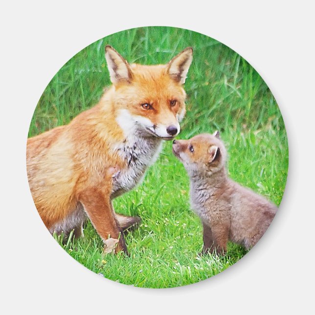 Mother fox and cub magnet (Front)