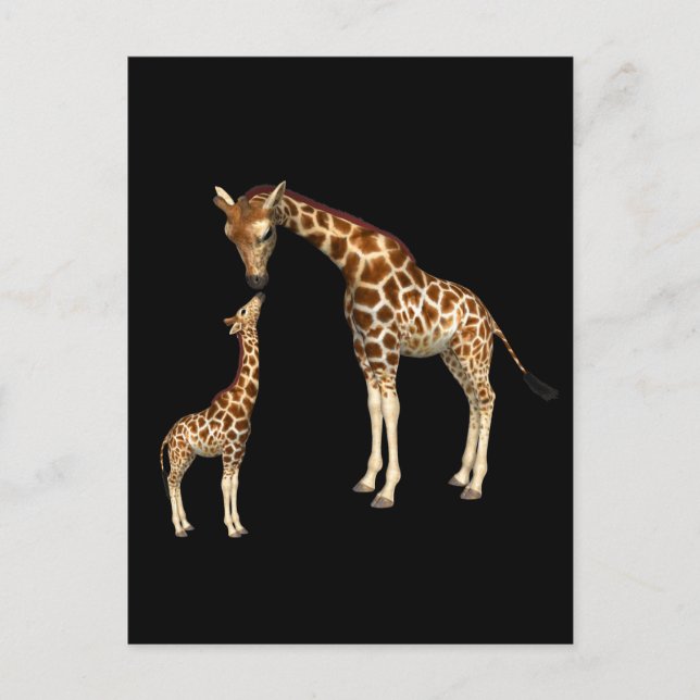Mother Giraffe and Baby Giraffe Postcard (Front)