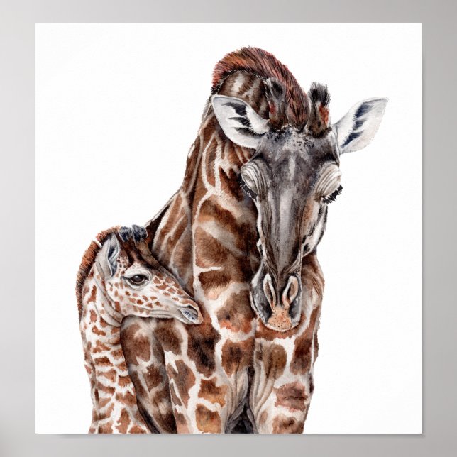 Mother Giraffe with Baby Giraffe Poster (Front)