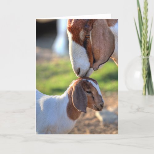 Mother Goat  Baby Card