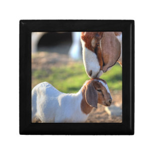 Mother Goat & Baby Jewelry Box