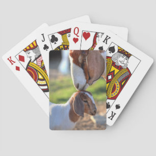 Mother Goat & Baby Poker Cards