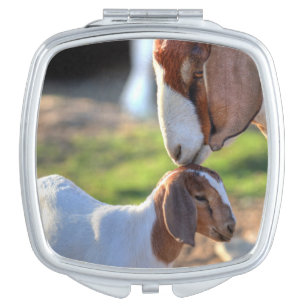 Mother Goat & Baby Vanity Mirror