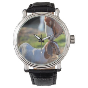 Mother Goat & Baby Watch